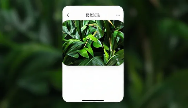 小程序商城运营中需关注的使用与维护条件分析